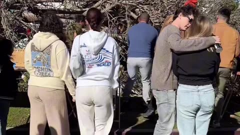 Stay safe out there! A tree fell on one of boots at Melrose Trading Post.