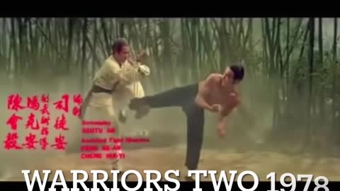 Cobra Kai is lying to you! Stolen Crane Kick, stolen moves, Cobra kai producers are liars!