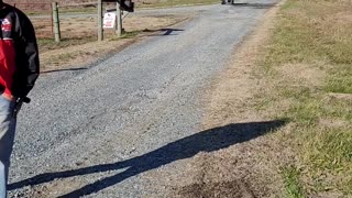 Learning to ride a 4 wheeler