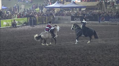 Cueca horse dance chile