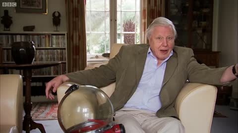 Attenborough on Underwater Filming | Attenborough 60 Years in the Wild | BBC Earth