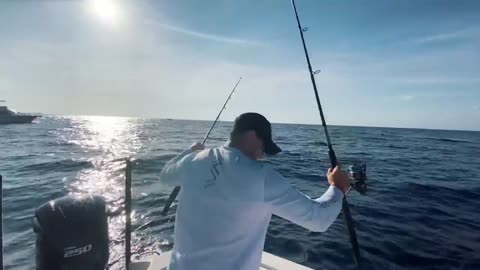 Epic Islamorada Fishing Frenzy! - Lobster, Mahi Mahi, Tuna, Grouper [Catch Clean Cook]