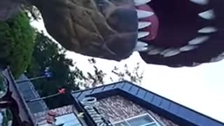 Real life dinosaur