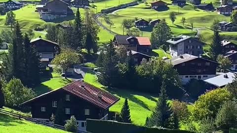 Green Dewar Switzerland