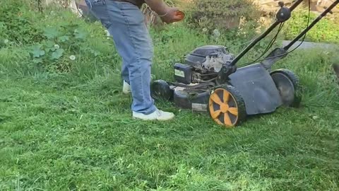 Dog Saves Human From Lawn Monster