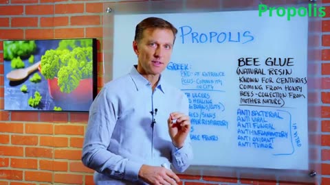 PROPOLIS