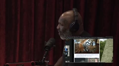 Mike Tyson Talks About Tigers - Joe Rogan Podcast