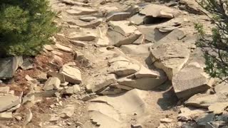 cojo goes up the chimney rocks trail in utah