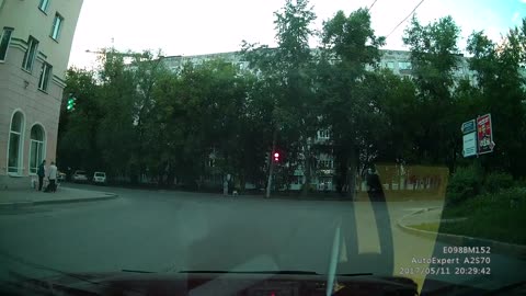 Woman Holding Dogs Paw as They Walk Across Street