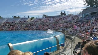 Splashed at Seaworld