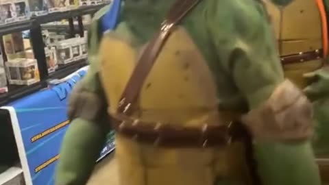 The Teenage Mutant Ninja Turtles are cute