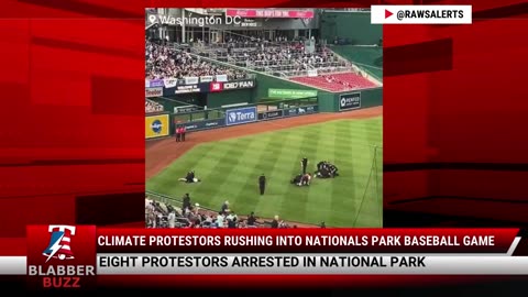 Climate Protestors Rushing Into Nationals Park Baseball Game