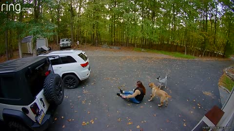 Super Excited Dog Slams Into Owner at Full Speed