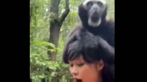 Best video of the day 🐵🙈🙉🙊🐒