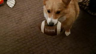 Corgi test. I can't change thumbnail