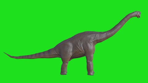 Long-necked dinosaur on green background.