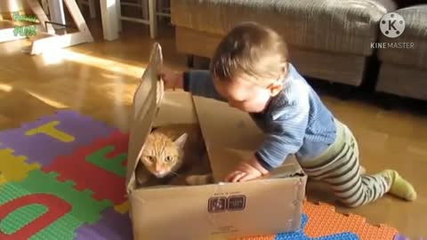 Baby and cat funny videos happy life