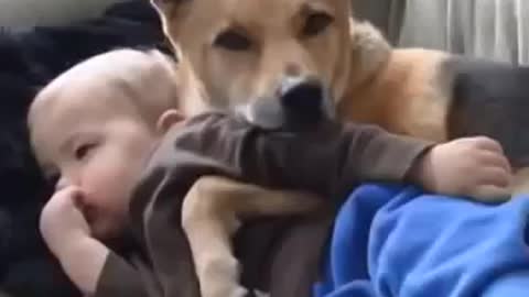 dog hugging baby Baby