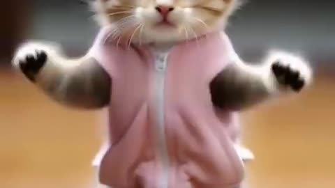 Funny cat videos 🤣📷