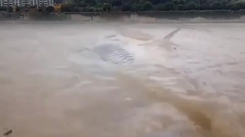 A giant fish came near the city because of the rising water