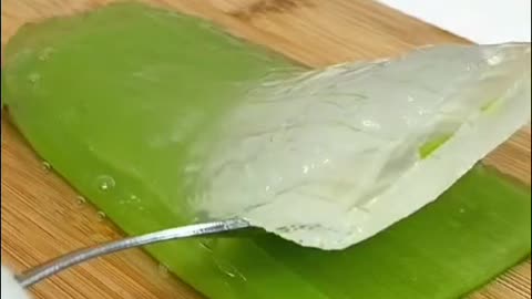 A Cat Making Aloe Vera Gel.