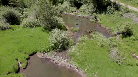 Beaver Rewilding Impacts Measured by NASA