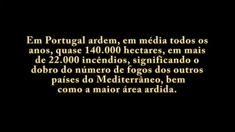 Incêndio Monchique (2018) - Testemunho do Engenheiro Agrónomo Miguel Bigodinho