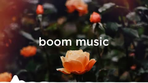 Boom Music 🎵🎶