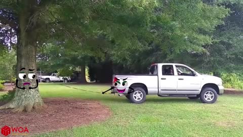 Elephant Attacks Car - Wild Animal Encounters by Doodles -- Woa Doodland