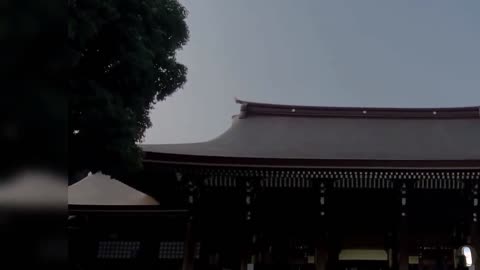 Meiji Shrine Tokyo Japan Tour