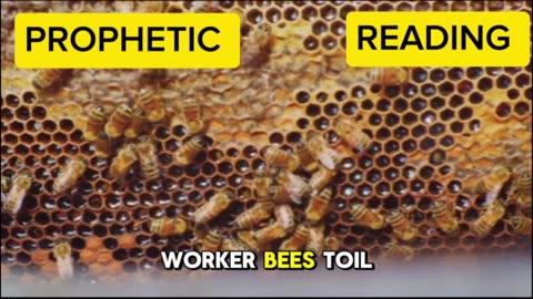 Worker Bees-Good news daily Reading