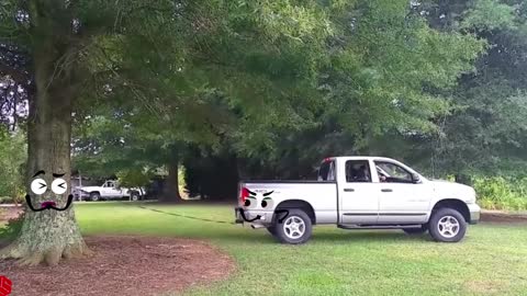 Elephant Attacks Car - Wild Animal Encounters