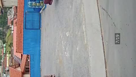 dog runs over