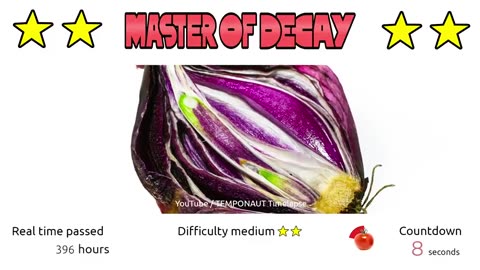 Timelapse Guessing Game Master of Decay 10