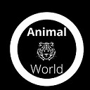 animalworl2