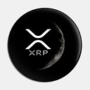 XRPalchemy