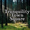 TranquilityTownSquare4611