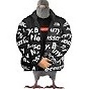 TheInnerPigeon