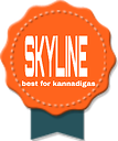 skylineittech