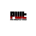 ProWrestleTimes