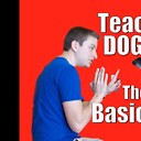 DogBasics