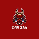 Cav344