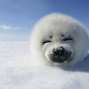 SnuggleSeal