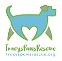 TracysPawsRescue