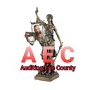 AuditingErieCounty