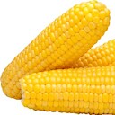 thecornstalkconservative