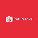 Petpranks