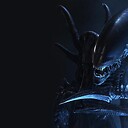 Xenomorph1984