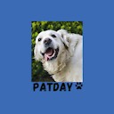 Patday