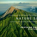 Naturesounds316